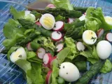Recette Salade asperges vertes radis
