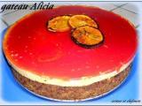 Recette Gateau alicia ( myrtilles, chocolat, oranges sanguines )