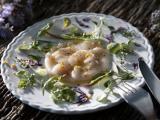 Recette Carpaccio de noix de saint-jacques à l'orange et feuilles de printemps