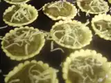 Recette Mini quiches aux épinards.