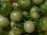 Recette Tomates cerises vertes au vinaigre