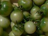 Recette Tomates cerises vertes au vinaigre