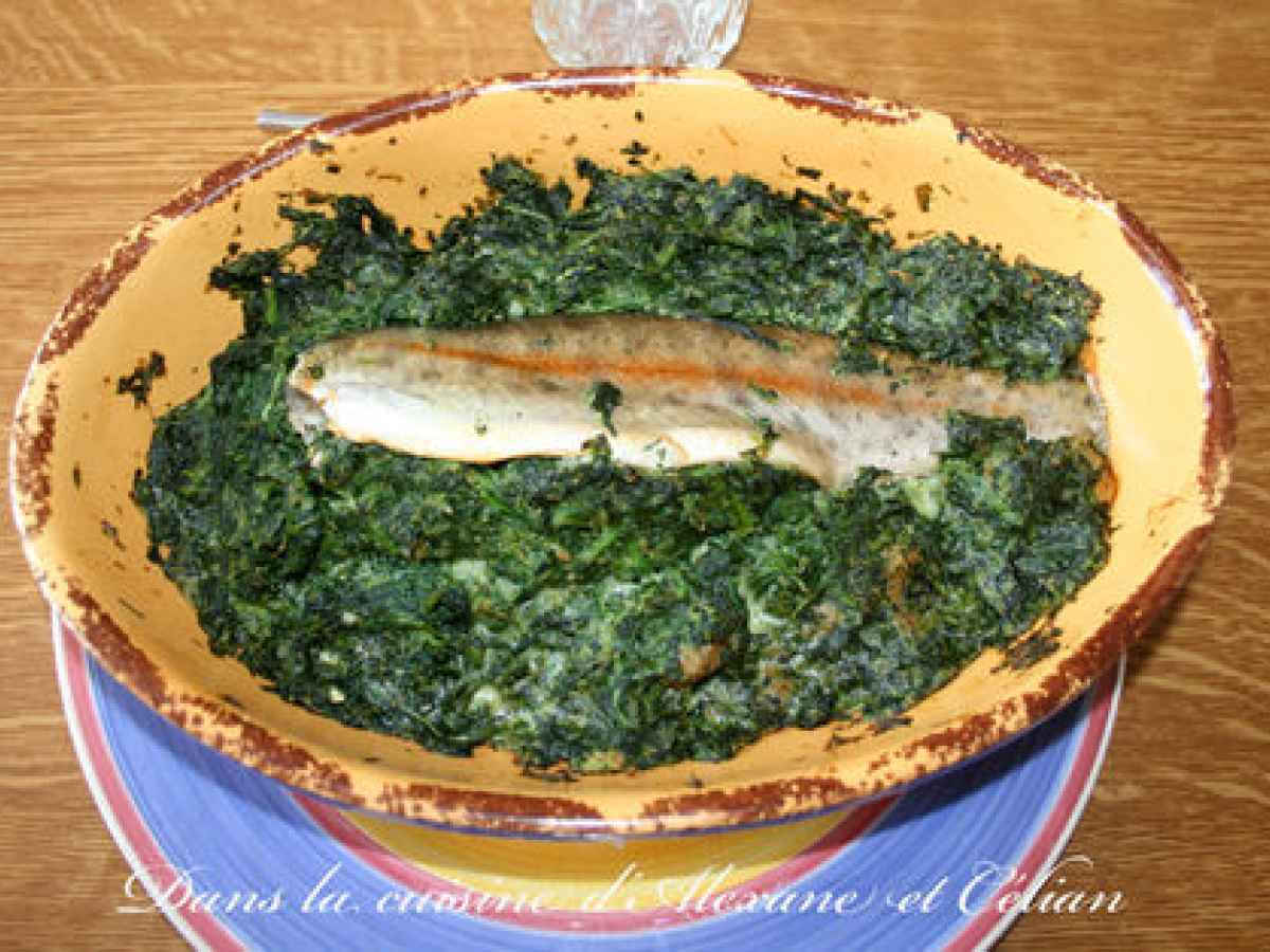 Truite aux épinard 10 recettes sur Ptitchef
