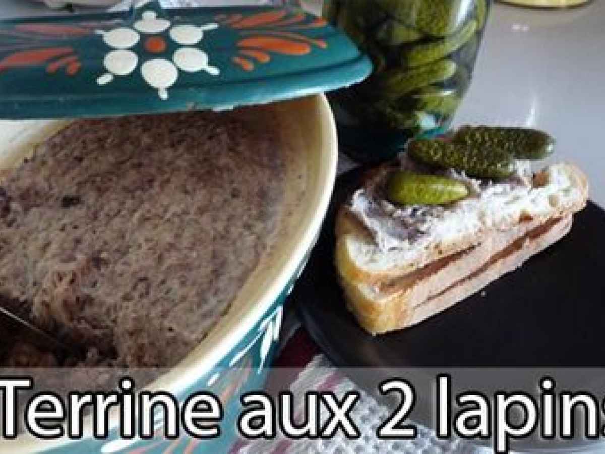 Terrine de lapin 17 recettes sur Ptitchef