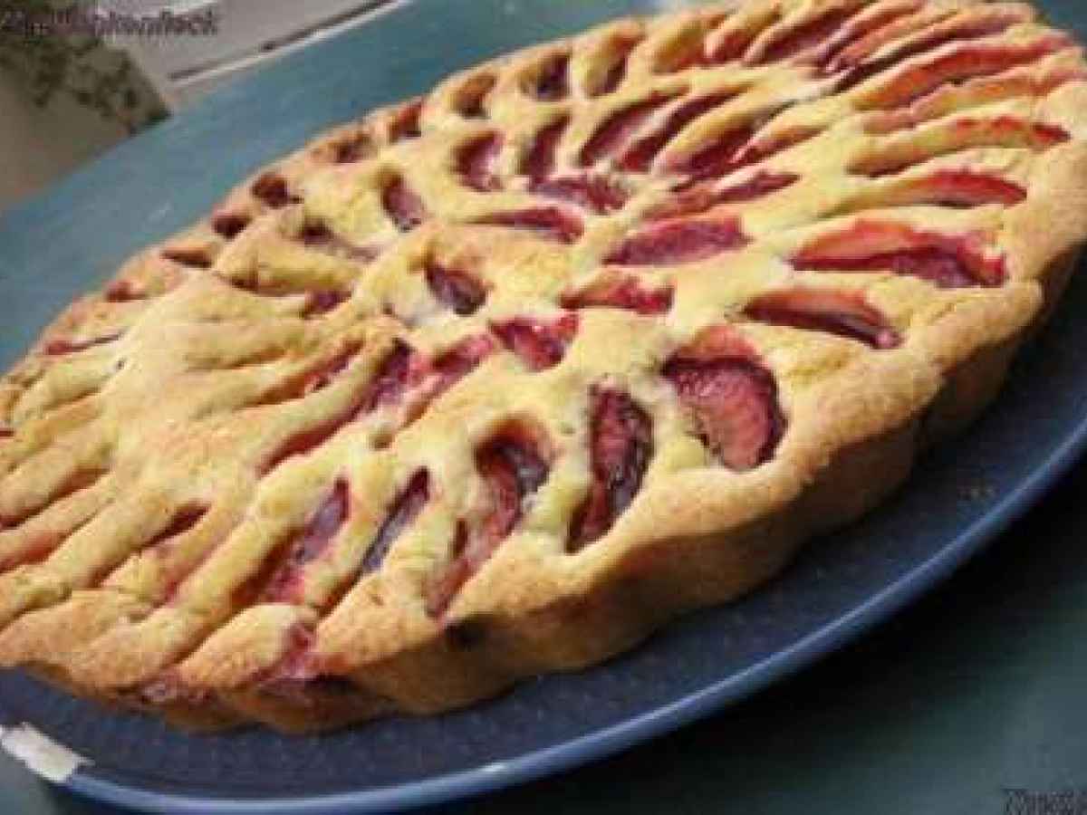 Gateau Aux Quetsches 15 Recettes Sur Ptitchef