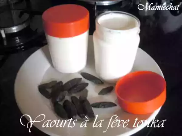 Recette Yaourts à la féve tonka