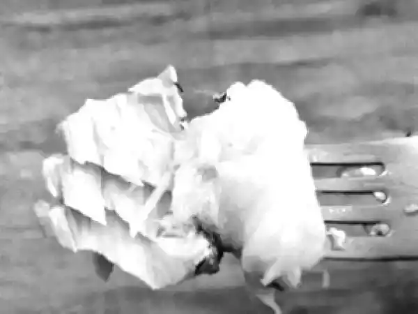 Recette Filet de saumon à l'ananas