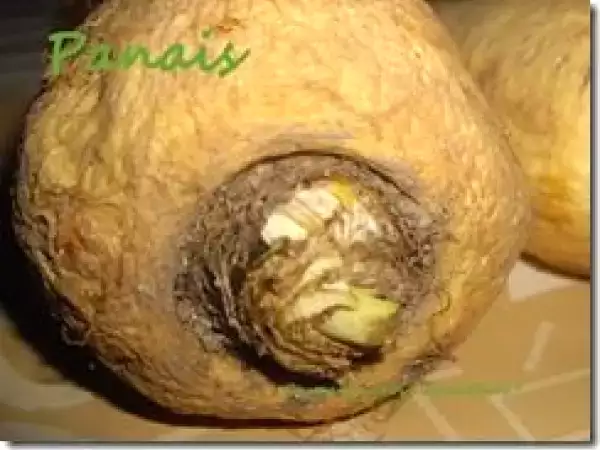 Recette Comment ne pas confondre panais et persil tubéreux ?