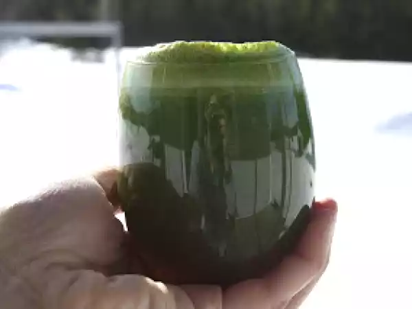 Recette Smoothie vert fruité favori des enfants et jus vert régénérateur de mamans