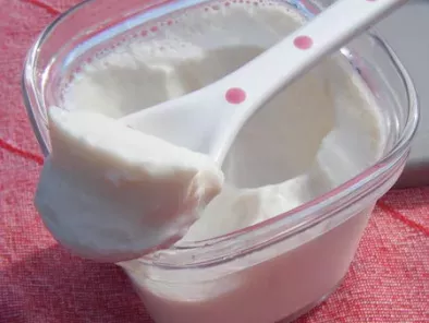 Recette Yaourts au lait de soja et yaourtière multi délices de seb !