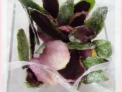 Recette Pétales de roses et feuilles de menthe cristallisées et chocolatées