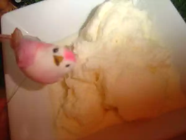 Recette Glace pina colada