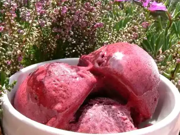Recette Un sorbet au cassis, plus jamais sans glucose !