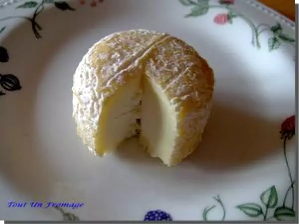 Recette Fabrication du crottin de chavignol