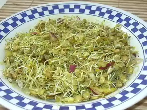 Recette Curry de lentilles germées
