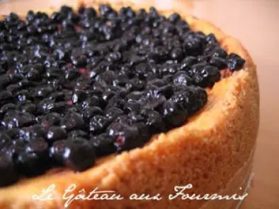 Recette Cheesecake chantilly/myrtilles façon blueberry pie avec une pointe de coco