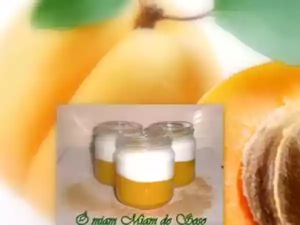 Recette Yaourt a la compote d'abricots & miel
