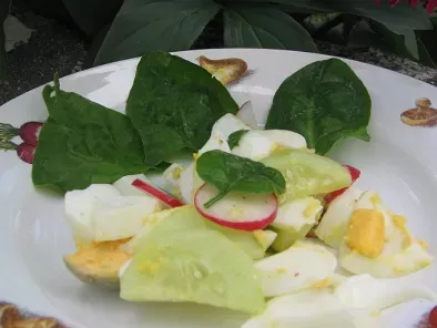 Recette Salade de pousses d?épinard - concombre radis et ?ufs durs