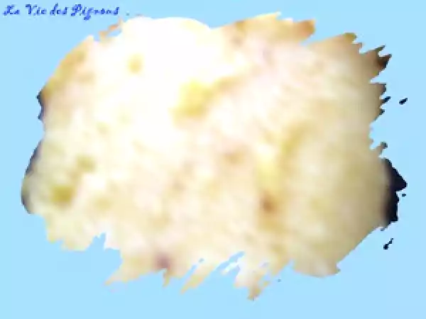 Recette Petite douceur hivernale sucrée : galettes de polenta