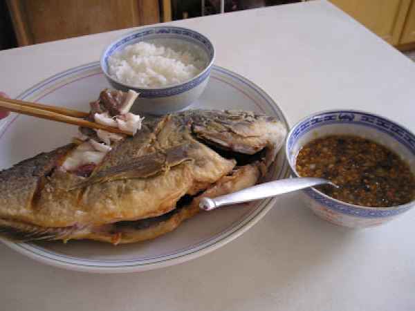 Poisson Chat Moustachu Recette