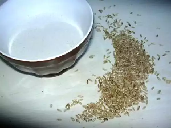 Recette lait d'avoine germée