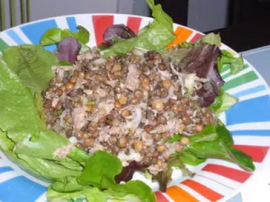 Recette Salade de lentilles au thon et au cumin (4 points)
