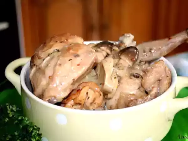 Recette Lapin a la moutarde ancienne et girolles