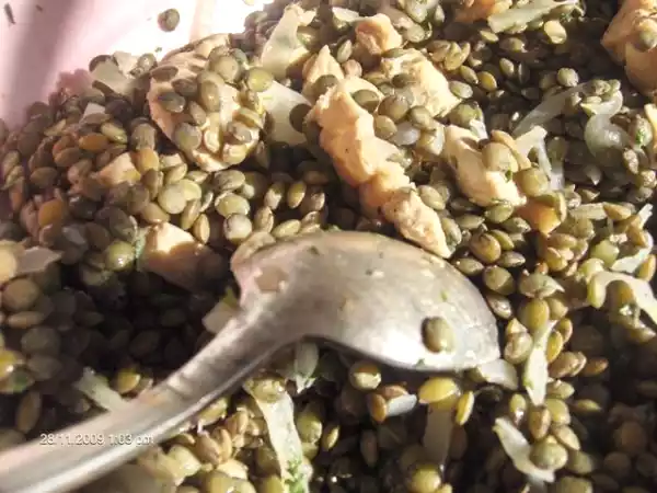 Recette Salade de lentilles au poulet
