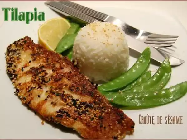 Recette Tilapia en croûte de sésame pour se remettre en forme