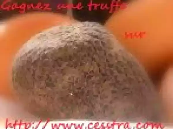 Recette Bar et sauce pak choi saveurs thaï ...