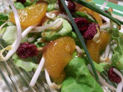 Recette Salade verte aux germes de haricots et mandarines