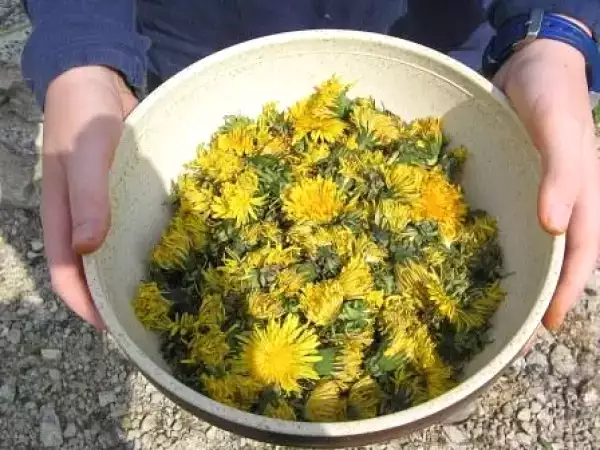 Recette Confiture de fleurs de pissenlit