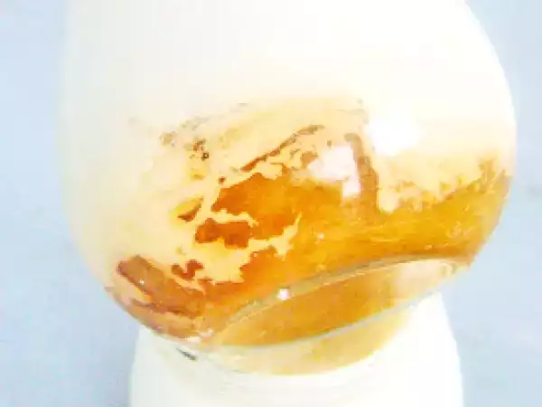 Recette Yaourts aux pommes tatin et une nouveaute en matiere de yaourt maison