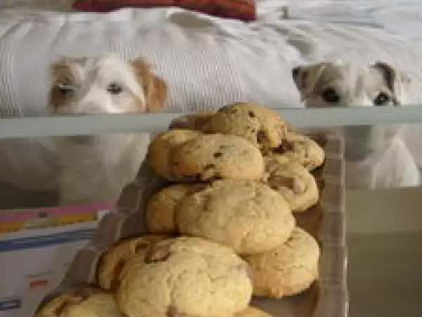 Recette Cookies ultra-moelleux chocolat et pralinoise