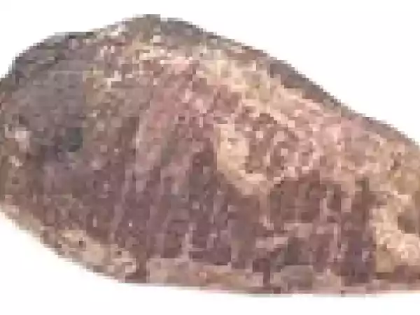 Recette Banh bao au taro