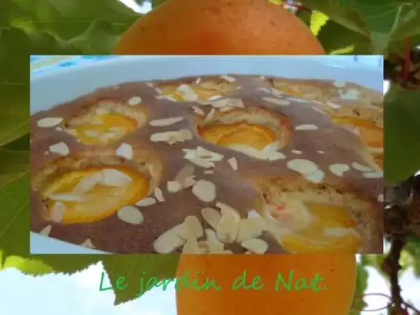 Recette Gâteau abricots au pralines et amandes.