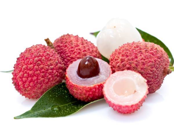 recettes litchi