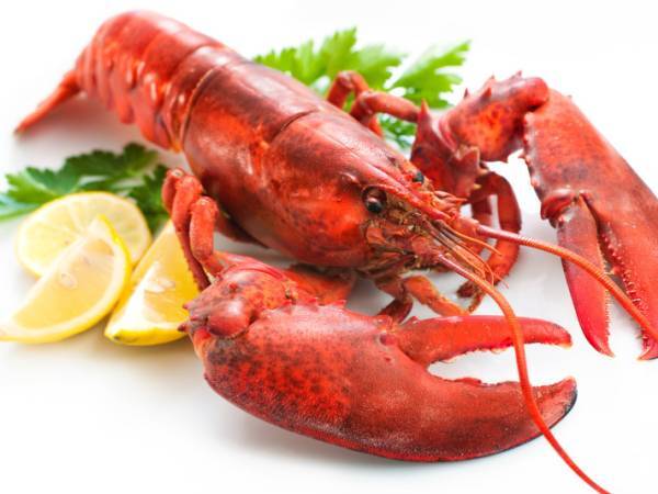 recettes homard