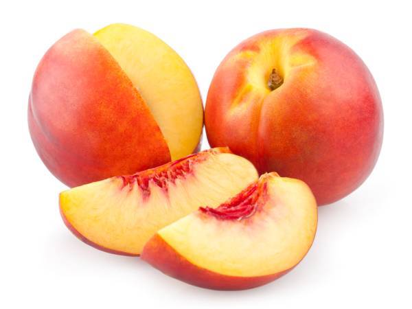 recettes nectarine