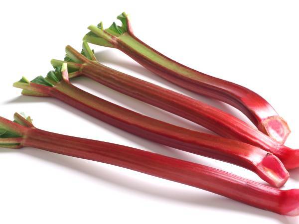 recettes rhubarbe