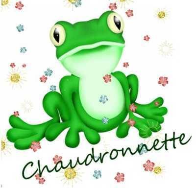 chaudronette