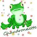 chaudronette