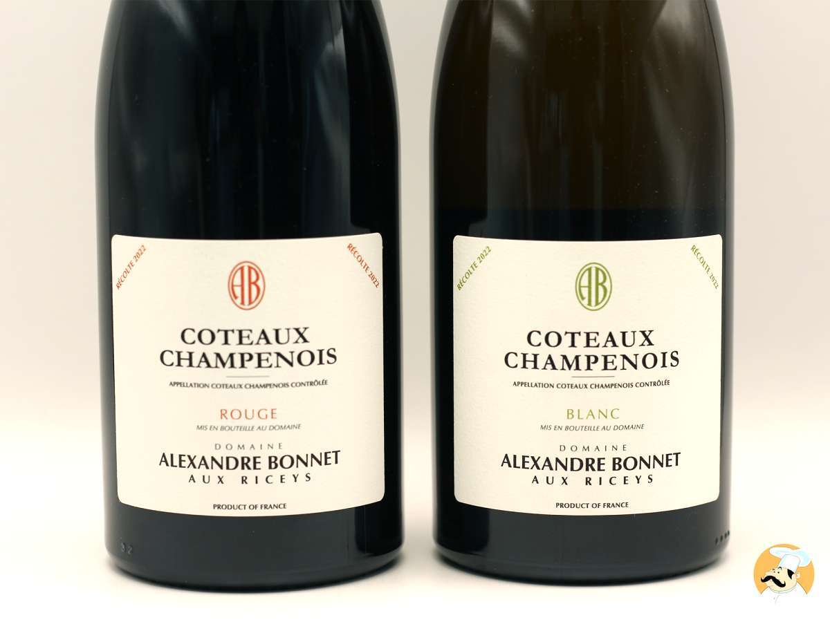 Domaine Alexandre Bonnet : et si la Champagne se dégustait aussi sans bulles cet été ? 