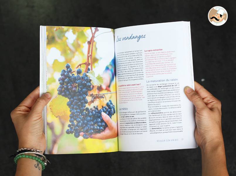 Faire son vin dans son jardin de Jean-Claude Le Bihan 