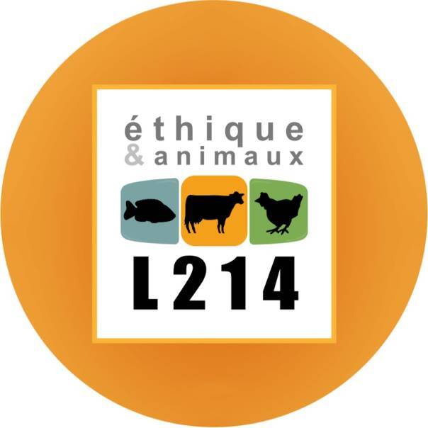 Intermarché va changer ses pratiques d'élevage et d'abattage des poulets 