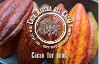 Le projet Cacao For Good de la Maison Thierry Mulhaupt 