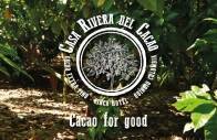 Le projet Cacao For Good de la Maison Thierry Mulhaupt 