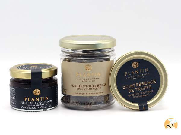 Plantin : la truffe comme art de vivre, du terroir aux tables gastronomiques