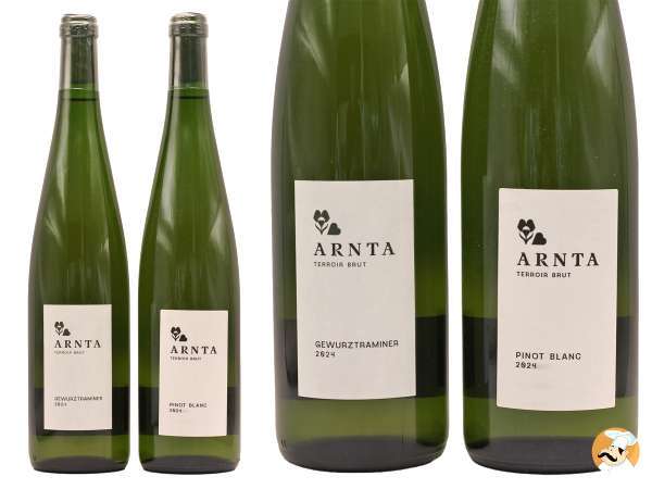 ARNTA : la nouvelle génération des vins d'Alsace mise sur la simplicité et le plaisir