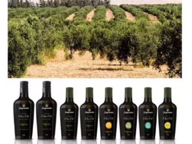 Les huiles d'olives Segermès disponibles en France